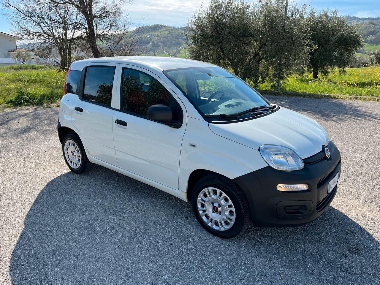 FIAT Panda 1.2cc Pop N1-Van 69Cv 2 posti - 2019