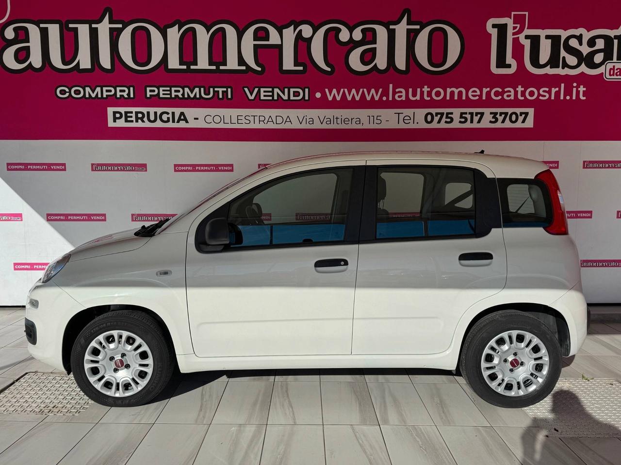 FIAT Panda 3ª serie Panda 1.2 Easy