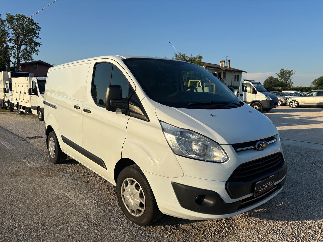 Ford Transit 290 2.0TDCi EcoBlue 130CV PM-TM Furgone Entry