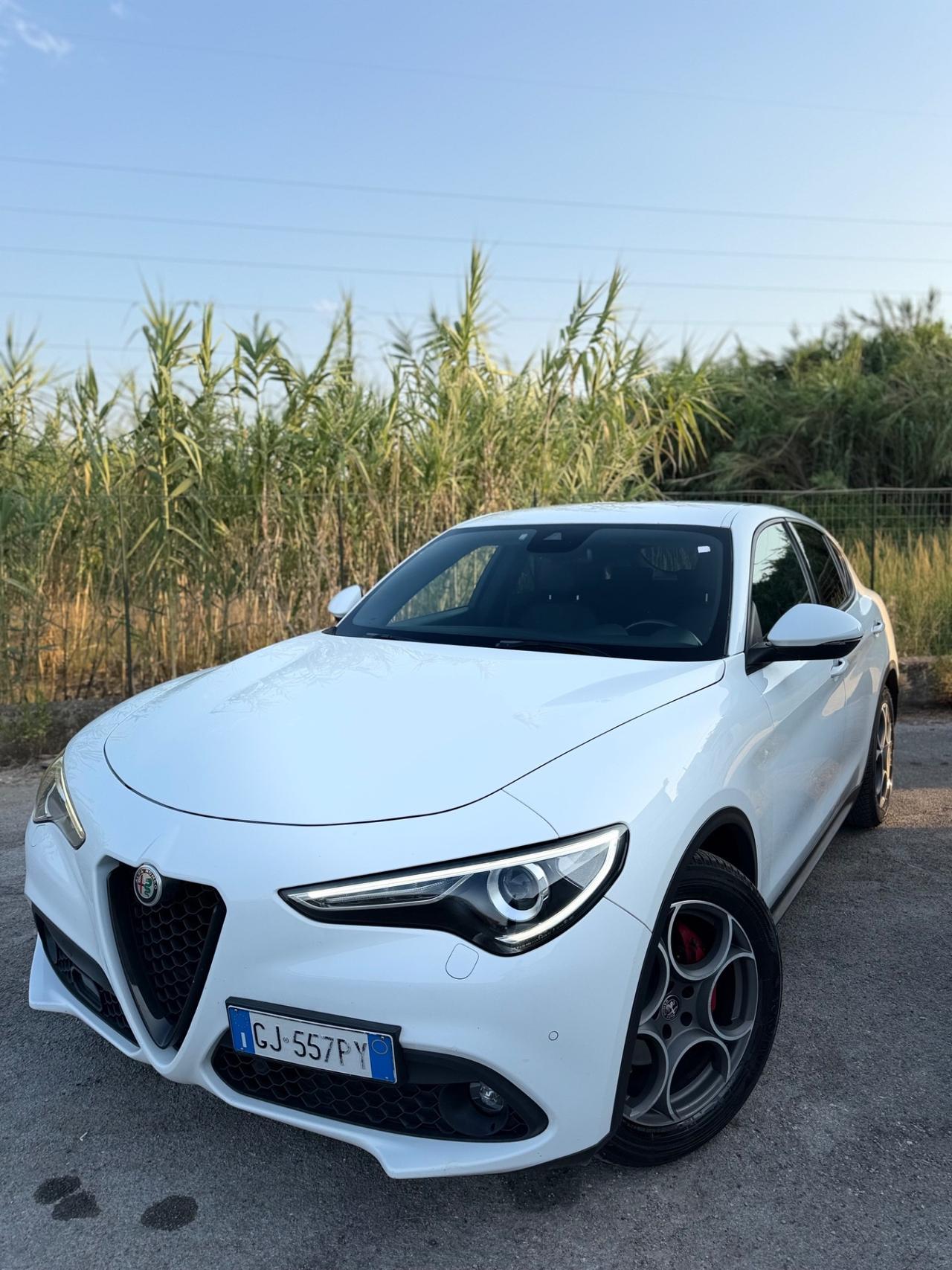 Alfa Romeo Stelvio 2.2 Turbodiesel 160 CV AT8 RWD Sprint