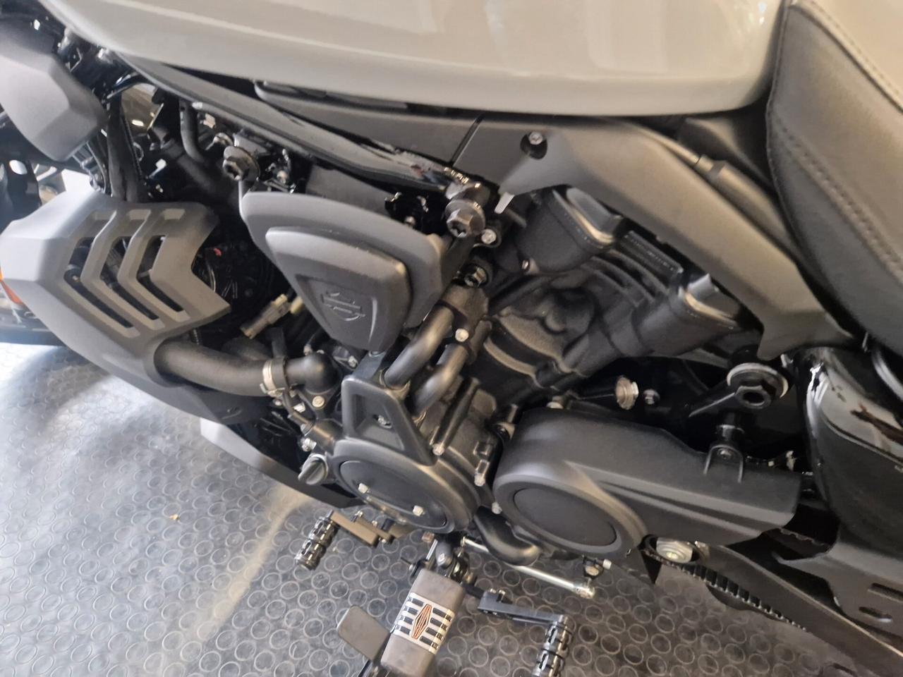 Harley-davidson Nightster special solo 113km