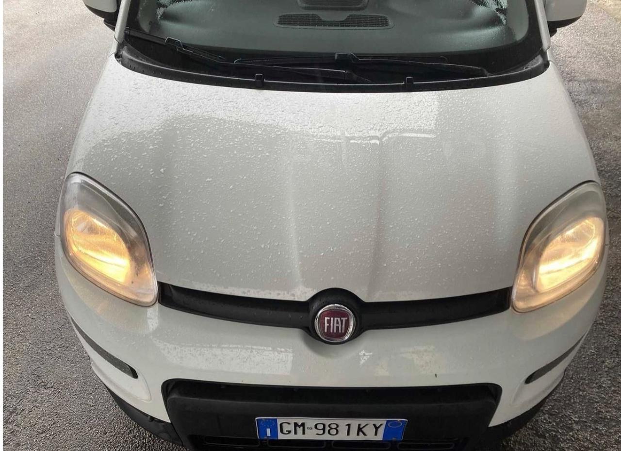 Fiat Panda 1.0 FireFly S&S Hybrid City Life