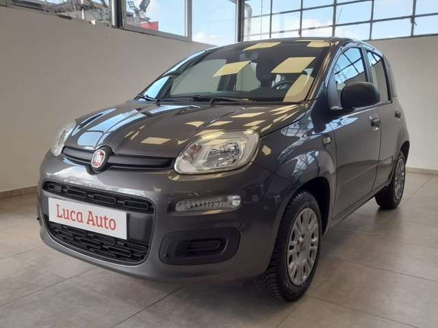 Fiat Panda 1.2 *TAGLAINDO FIAT*OK NEOPATENTATI*