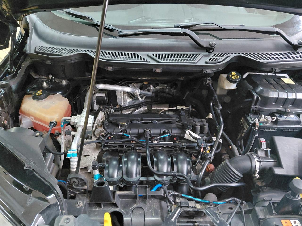 Ford EcoSport 1.5 110 CV Powershift 2016