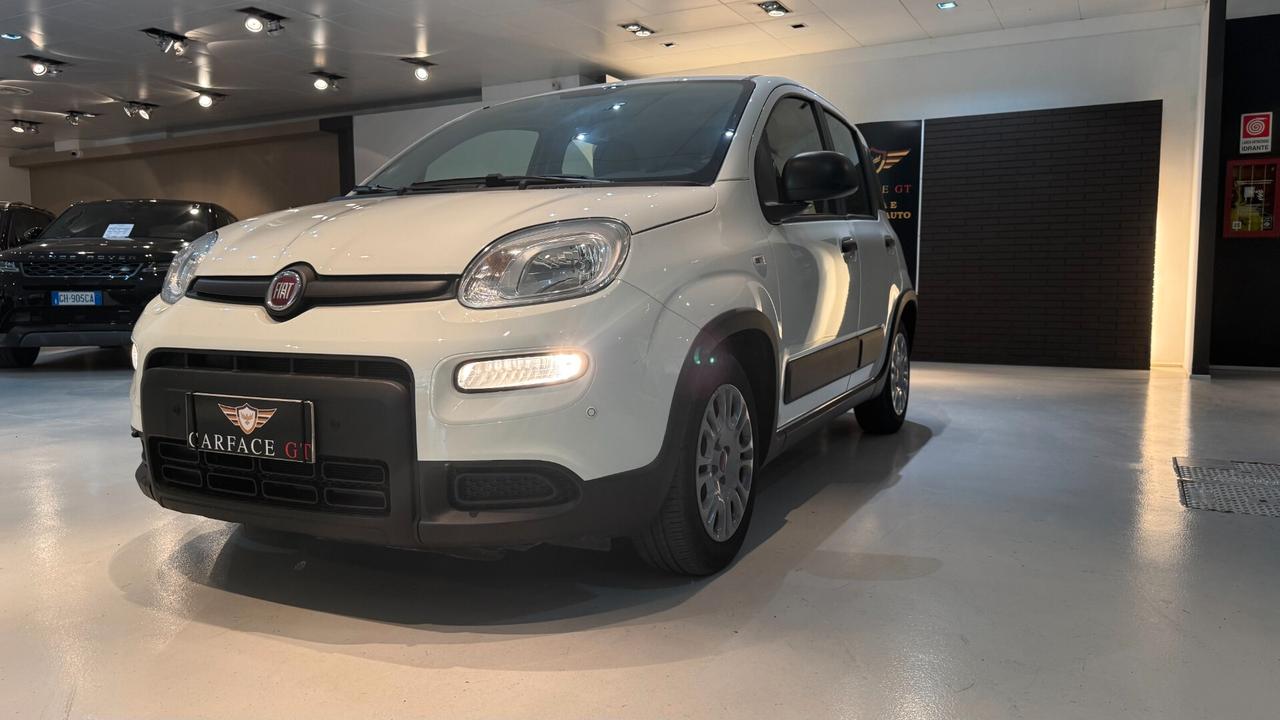 FIAT PANDA 1.0 70CV - 2023