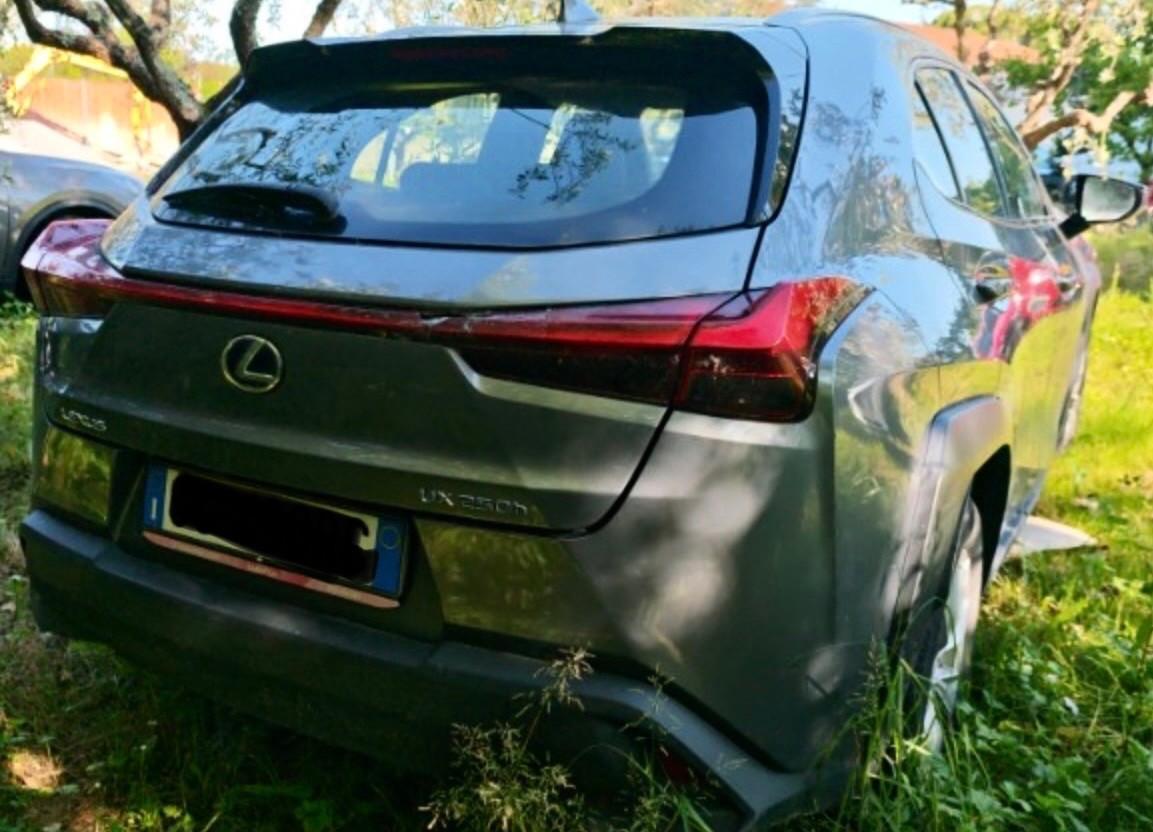 Lexus UX 250h business