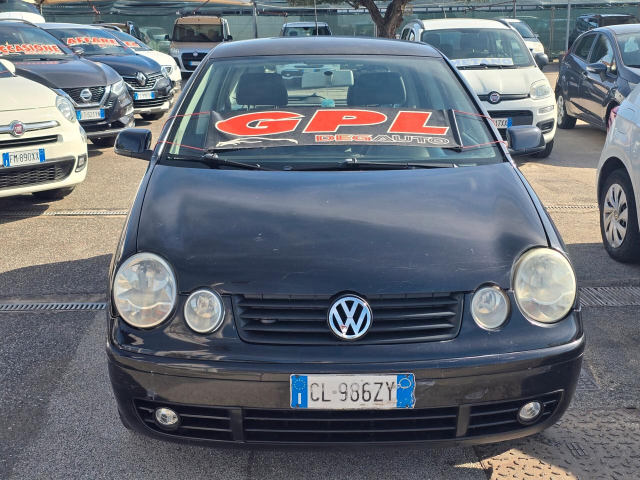 Volkswagen Polo 1.4/80CV 16V 5p. Comfort. BiFuel G