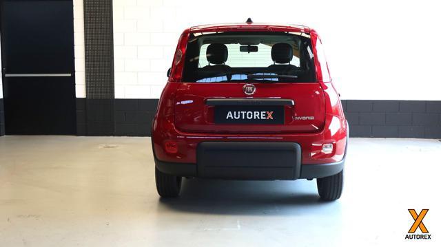 FIAT Panda 1.0 FireFly S&S Hybrid per neopatentati