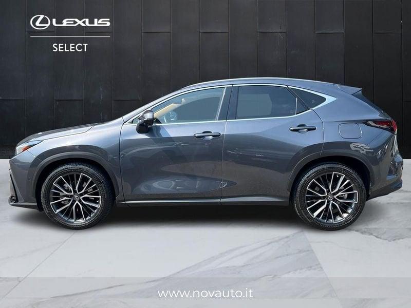 Lexus NX Plug-in Luxury 4WD MY22