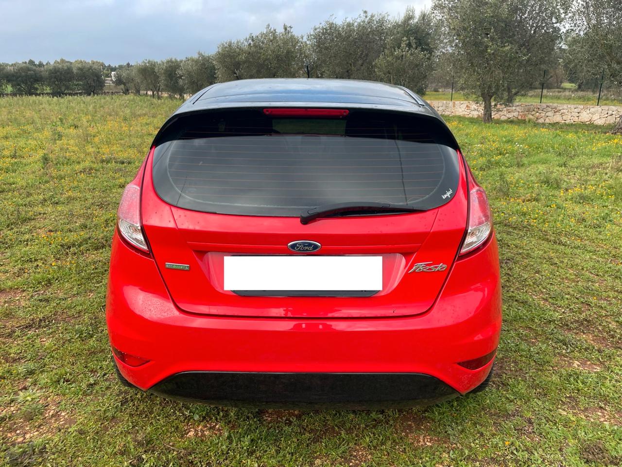 Ford Fiesta 1.0 Ecoboost 100 CV 5 porte Plus finanziabile