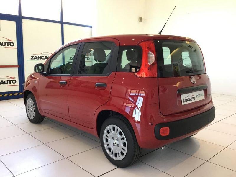 FIAT Panda Panda 1.0 FireFly S&S Hybrid Icon PROMO MESE + TARGA