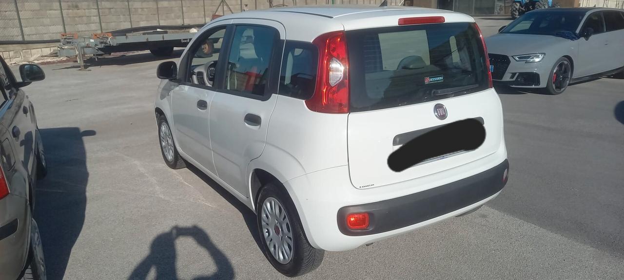 Fiat Panda 1.2 - 69CV - BENZINA