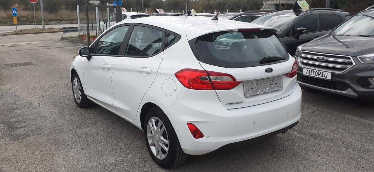 Ford Fiesta 1.5 TDCi 86 CV 5 porte Business -Garanzia-Neopatentati