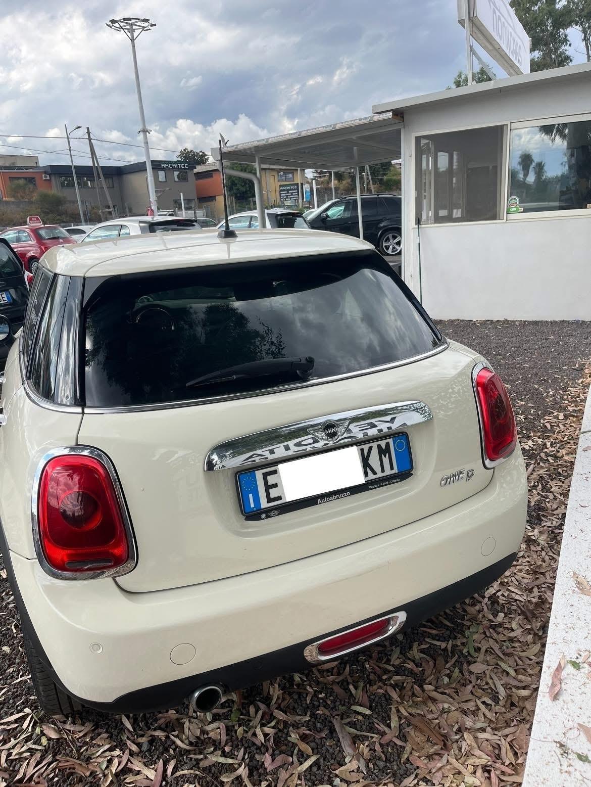 Mini 1.5 One D