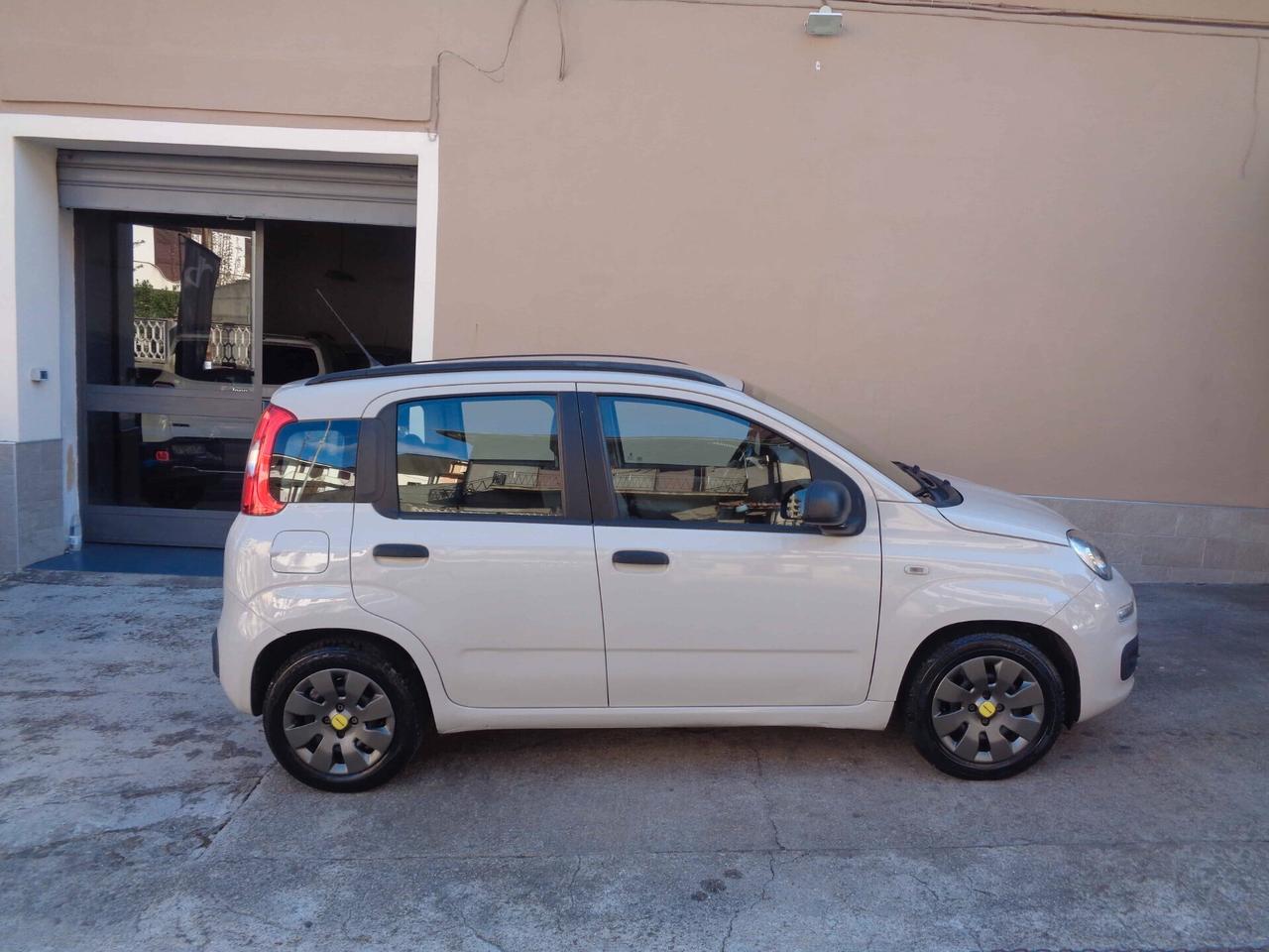 Fiat Panda 1.2 EasyPower Easy (Finanziabile)