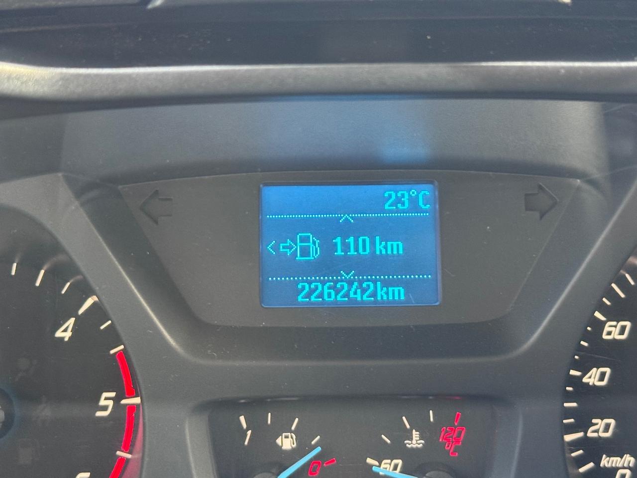 Ford Transit 290 2.0TDCi EcoBlue PM-TM Furgone Trend