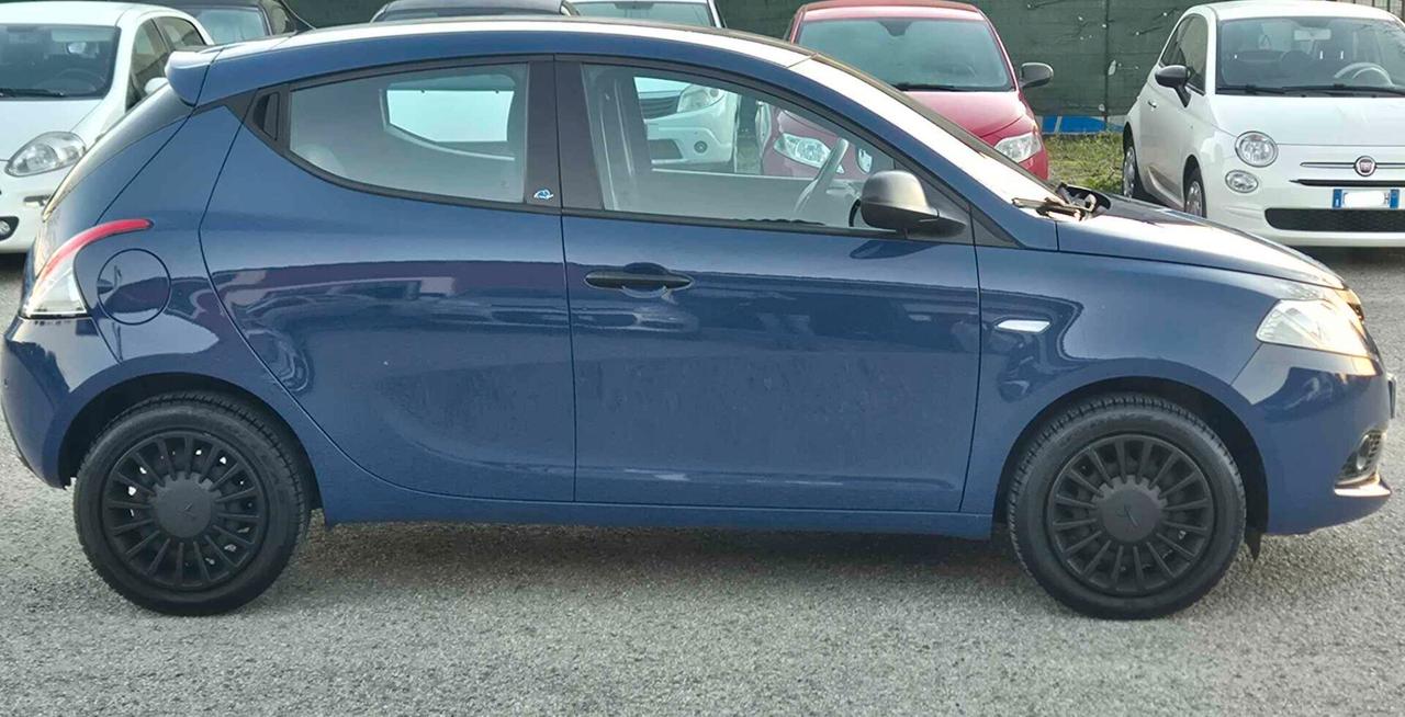 Lancia Ypsilon 1.2 69 CV 5 porte Elefantino Blu km 13732