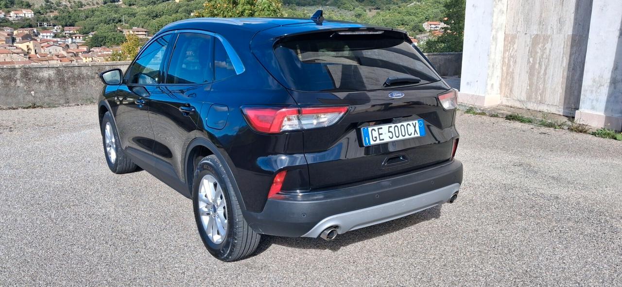 Ford Kuga 1.5 EcoBlue 120 CV 2WD Titanium
