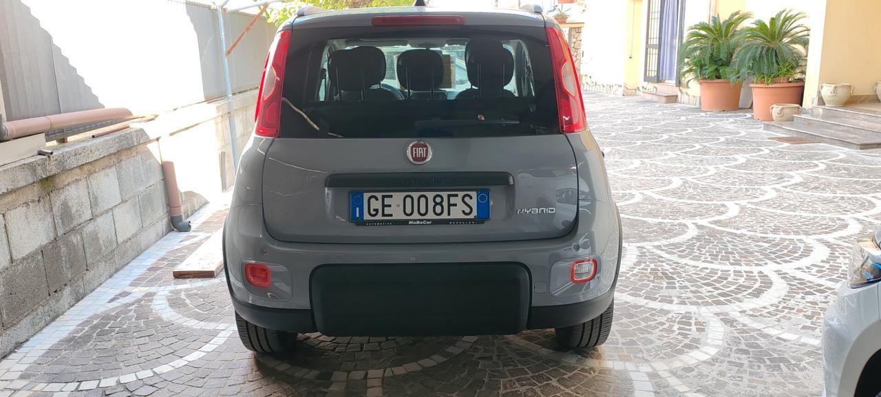 Fiat Panda 1.0 FireFly S&S Hybrid Sport LEGGI