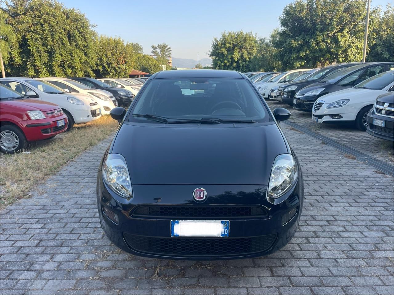 Fiat Punto 1.2 8V 5 porte Street km 52.000 Unica !!