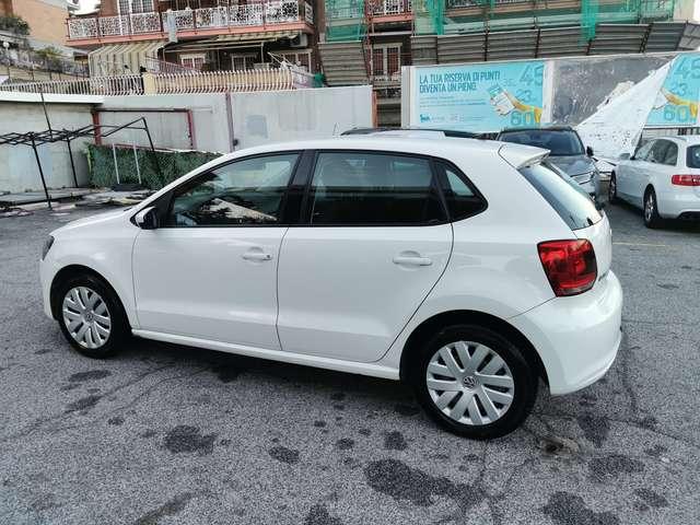 Volkswagen Polo Polo V 5p 1.2 tdi Trendline