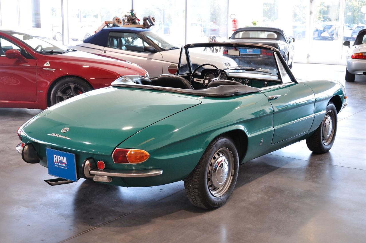 Alfa Romeo Spider 1300 Junior Duetto osso di seppia RIAR conservata