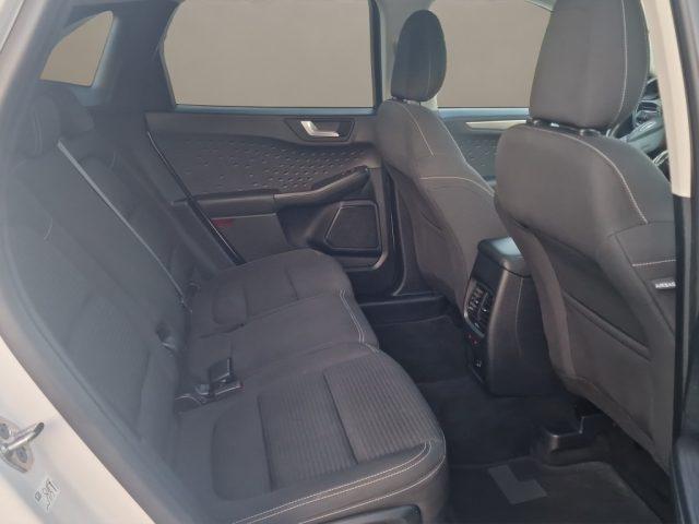 FORD Kuga 2.0 EcoBlue Hybrid 150 CV 2WD Titanium