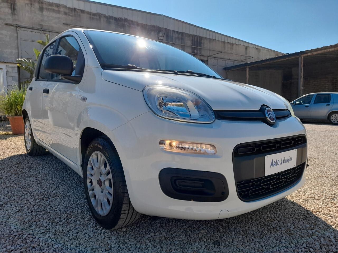 Fiat Panda 1.0FIREFLY S&S ANNO 2021 BENZINA