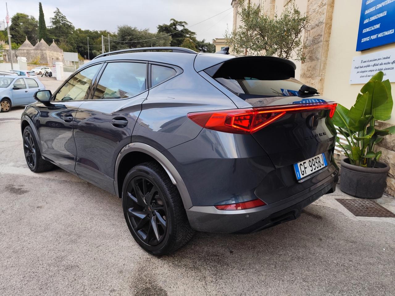 Cupra Formentor 2.0 TDI 4Drive DSG