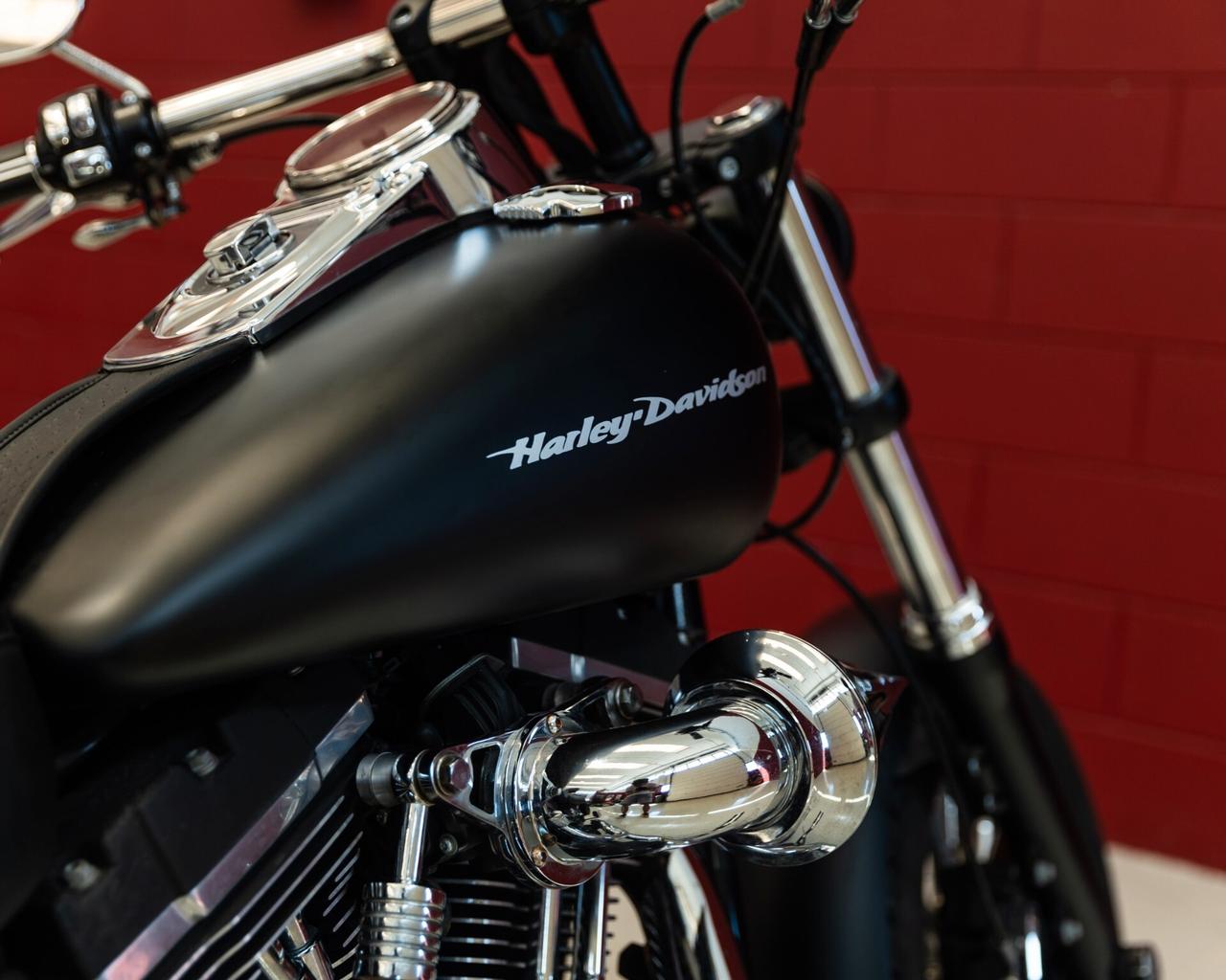 Harley-davidson Dyna "F. Bob"