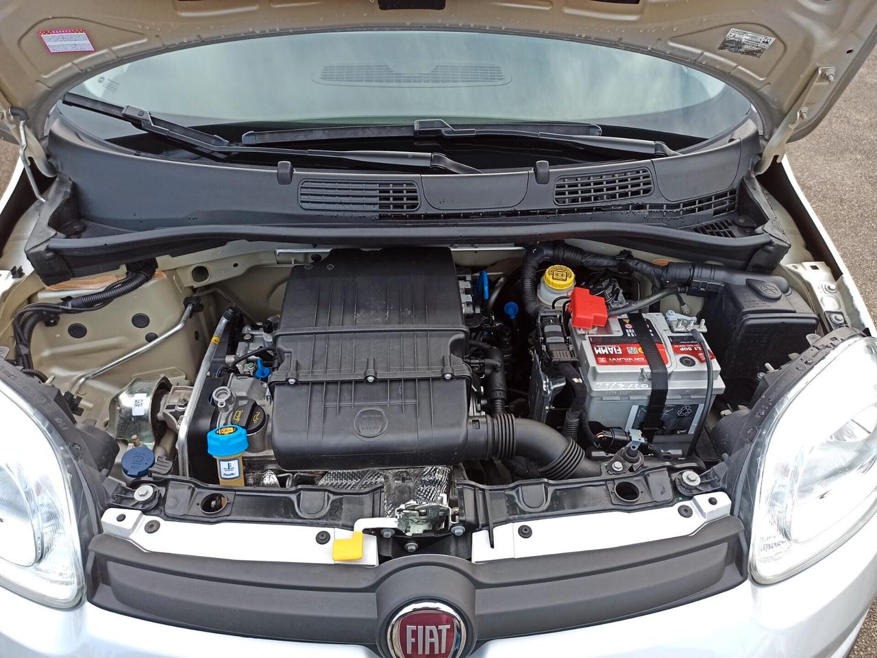 Fiat Panda 1.2 69 cv Easy Km. 21000 pari al nuovo!!!!!