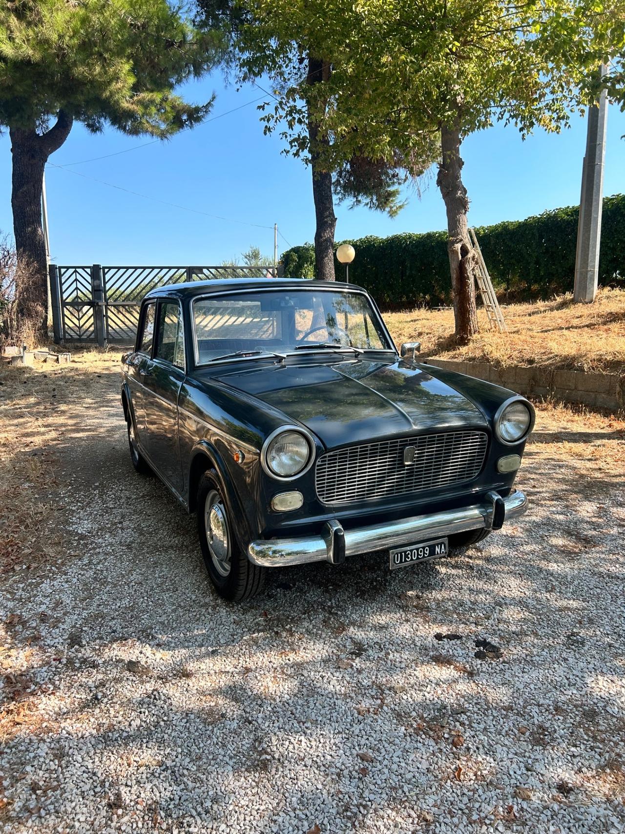 Fiat 1100 d 1964