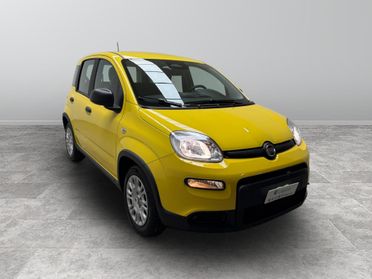 FIAT Panda III 2024 - Panda 1.0 firefly hybrid s&s 70cv