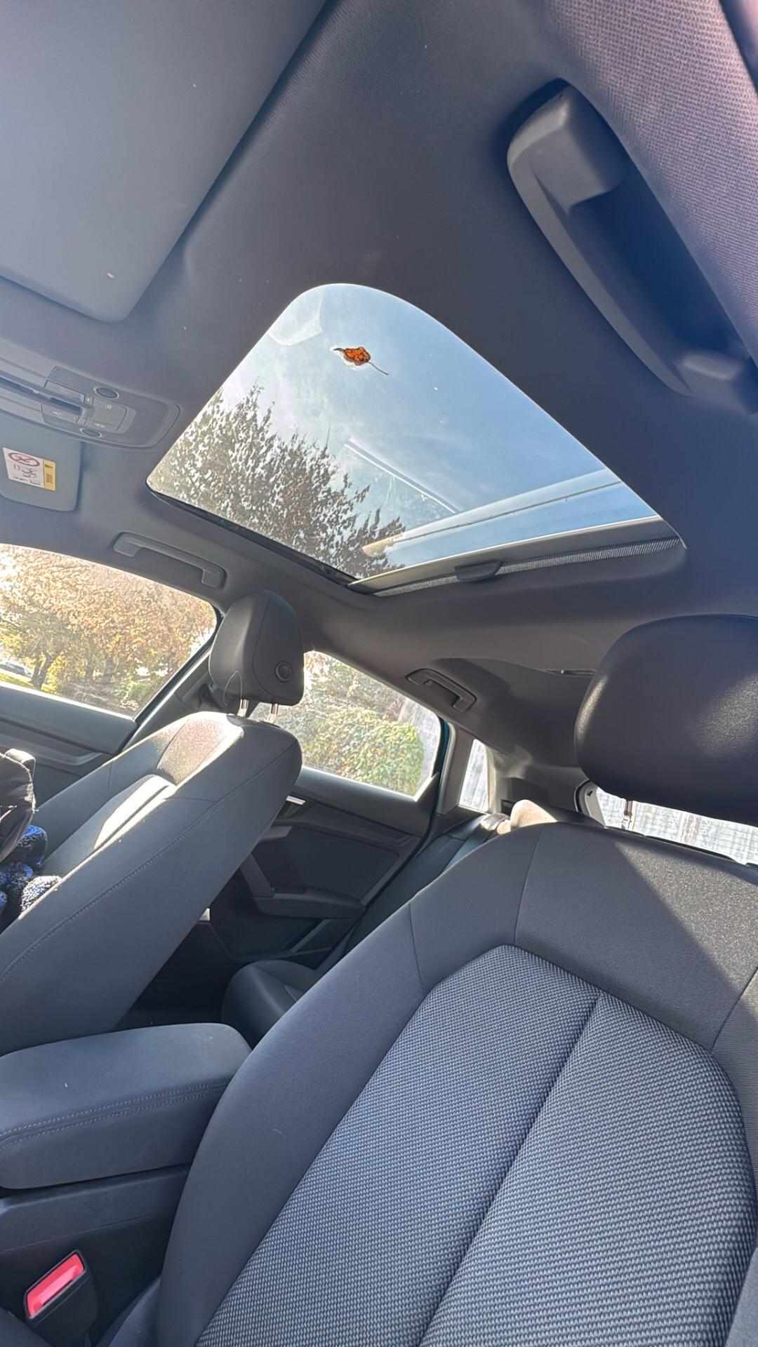 Audi A3 SPB 35 TFSI S tronic line edition tetto panoramico