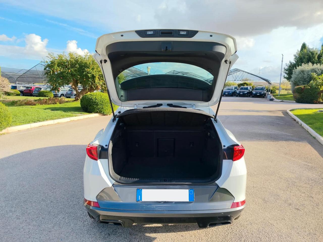 Cupra Formentor 2.0 TDI 4Drive DSG