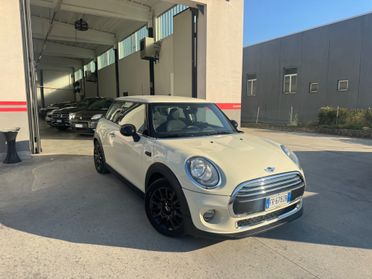 Mini 1.5 One D Hype