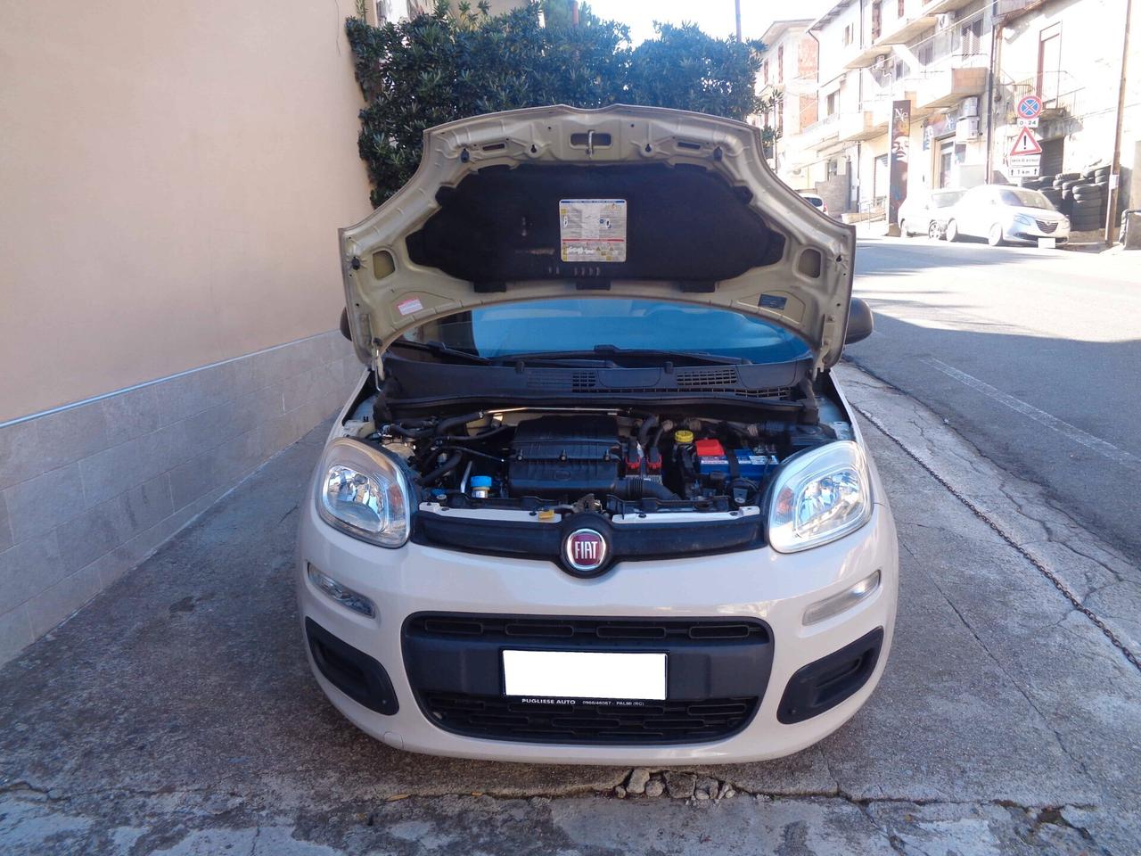 Fiat Panda 1.2 EasyPower Easy (Finanziabile)