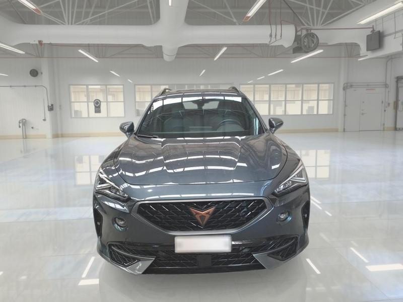 CUPRA FORMENTOR 2.0 TDI 4DRIVE DSG SUV