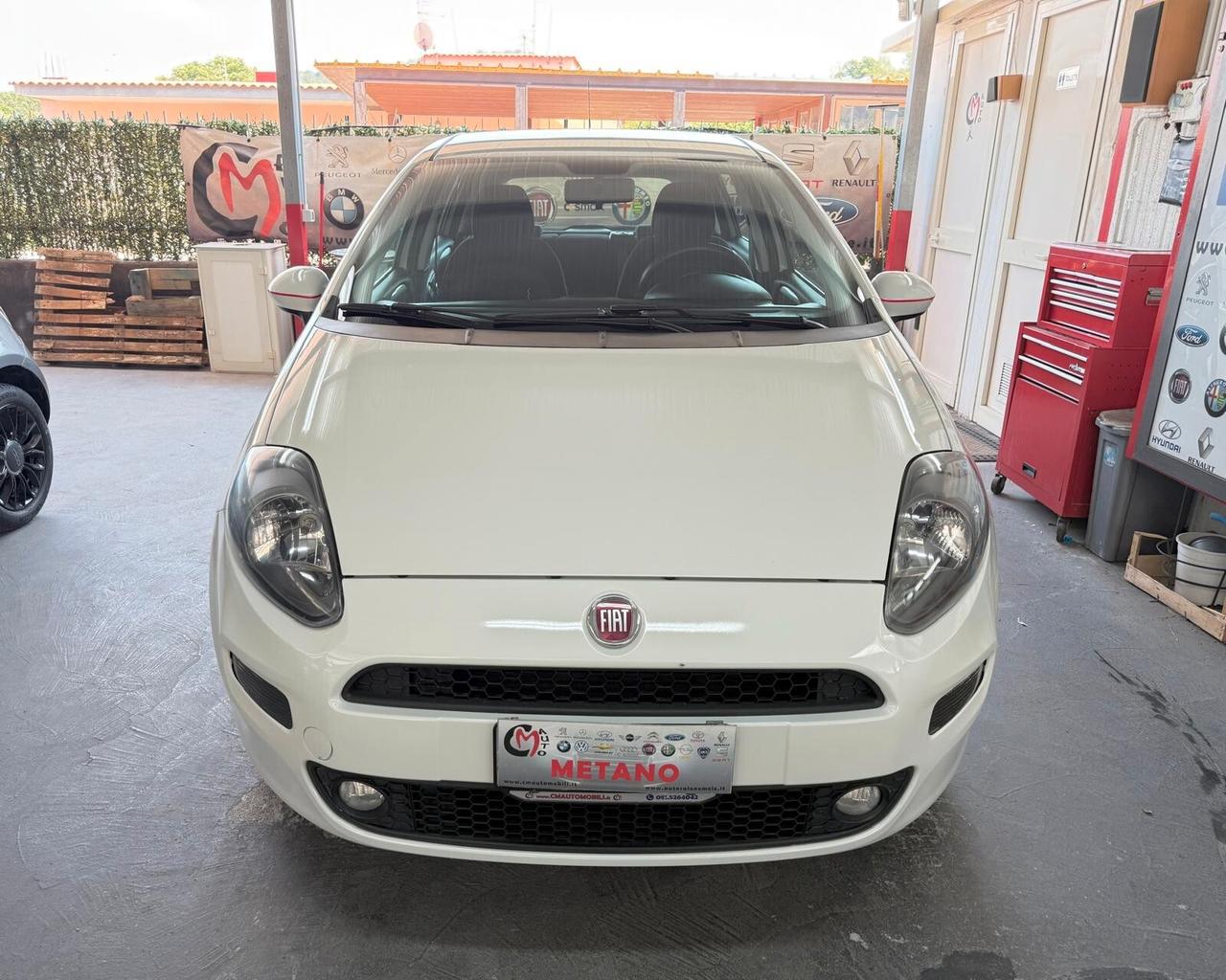 Fiat Punto 1.4 8V 5 porte Natural Power Lounge METANO