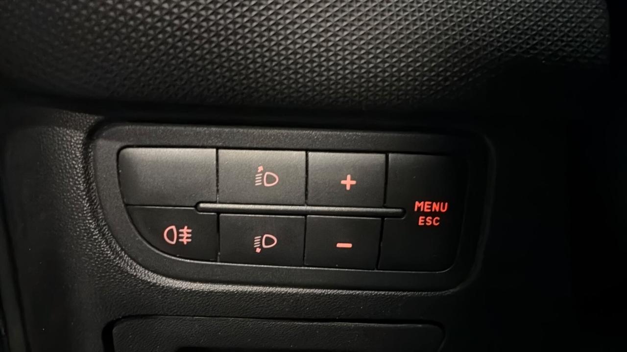 FIAT GRANDE PUNTO DEL 2014 1300 MULTIJET A CATENA