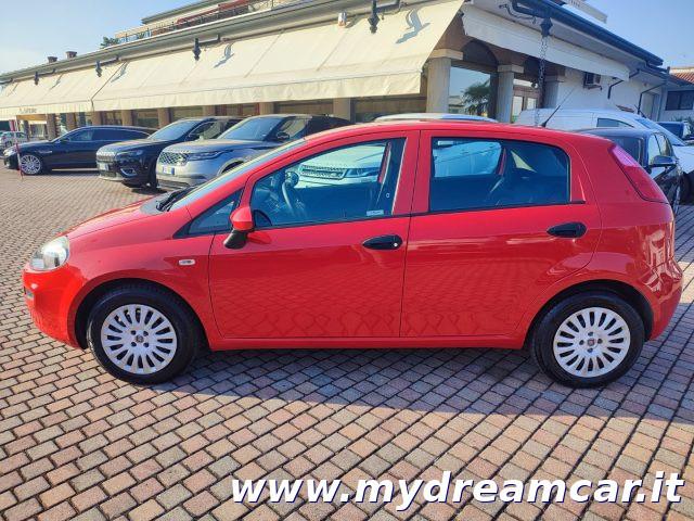 FIAT Punto 1.2 8V 5 porte Young NEOPATENTATI