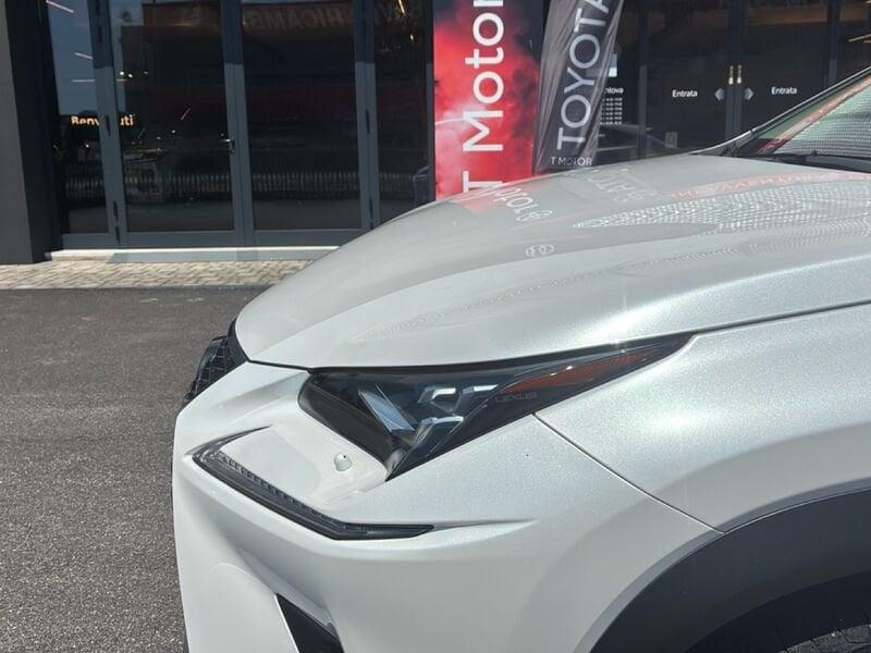 Lexus NX NX 300h 2.5 Luxury 4wd cvt