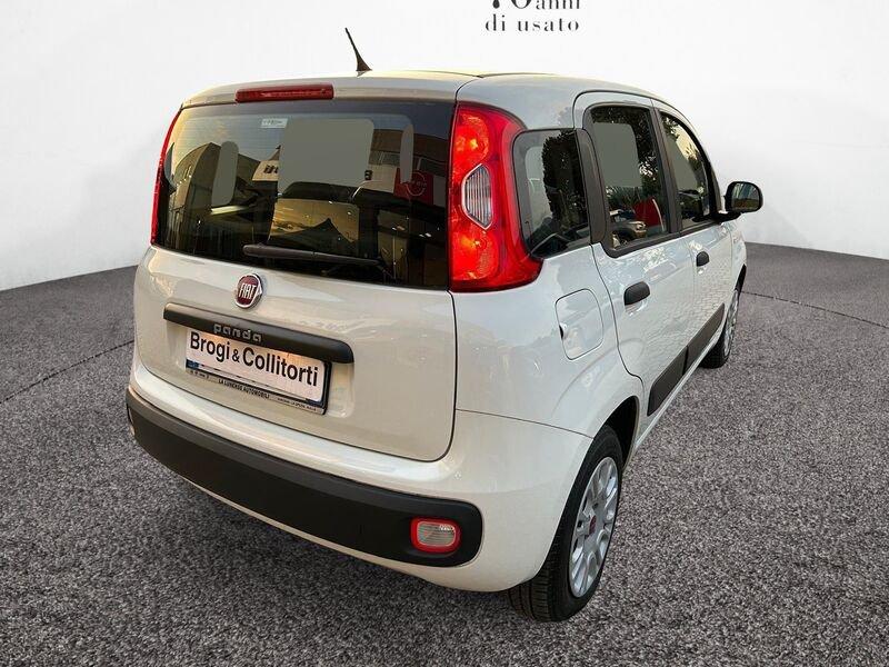 FIAT Panda 1.2 69cv Young