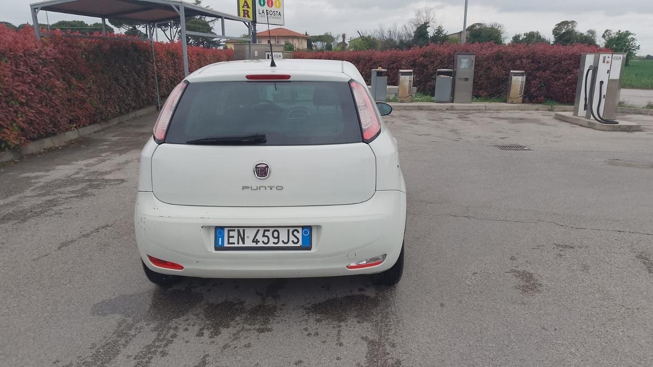 Fiat Punto 1.3 MJT 75CV 5 porte Van Easy 4 posti