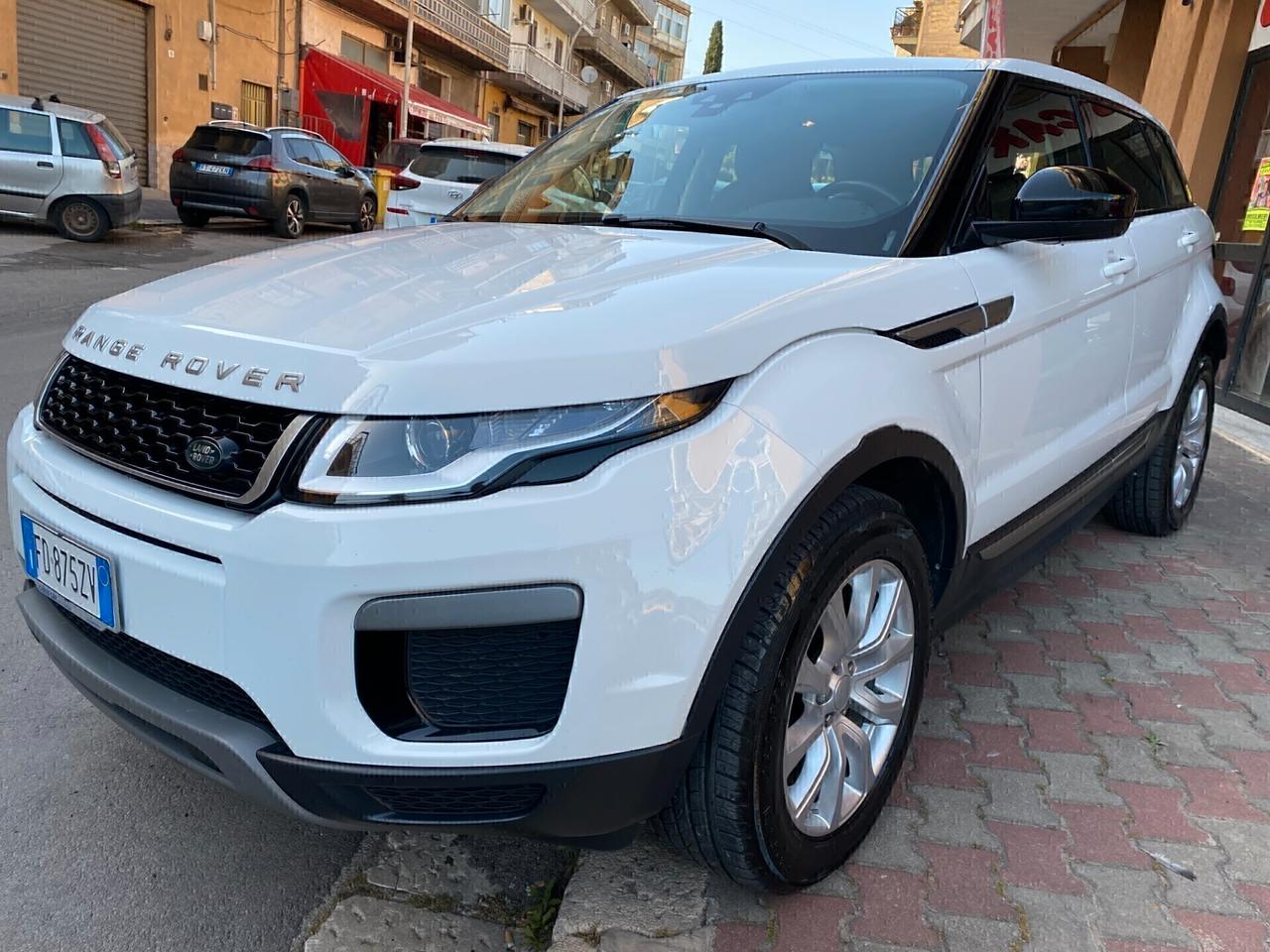 Range Rover Evoque 2.0 TD4 150 CV 5p. Business Edition Pure