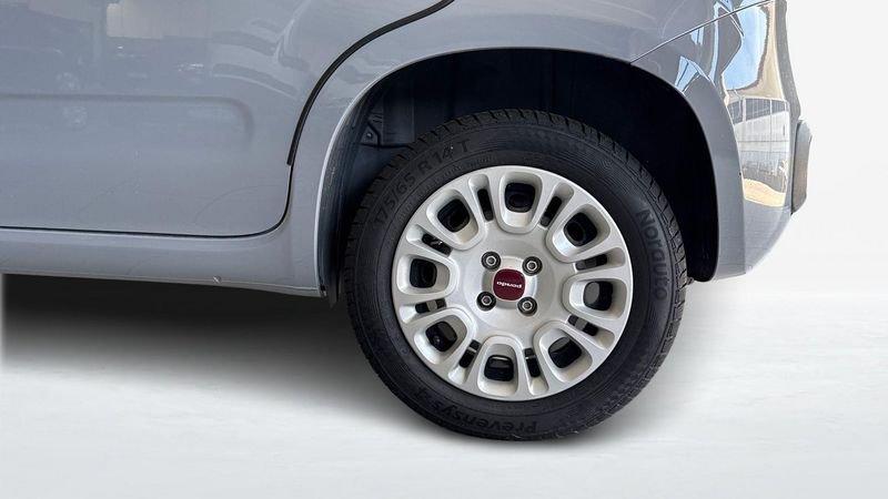 FIAT Panda III 2016 1.2 69cv Easy S&S my19