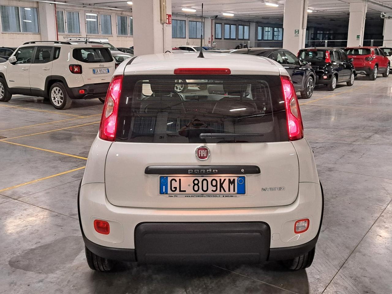 Fiat Panda 1.0 FireFly Hybrid Street N1 Autocarro 4 Posti