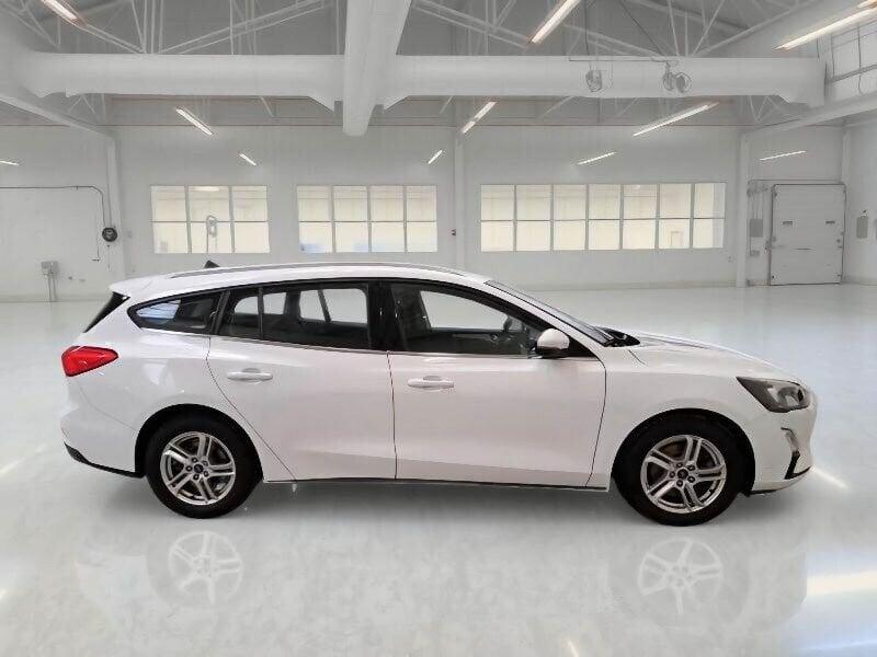 Ford Focus Focus 1.5 EcoBlue 120 CV automatico SW Business Co-Pilot