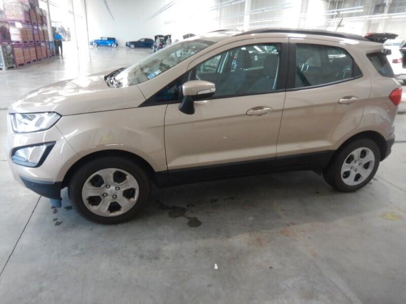 Ford EcoSport 1.5 Ecoblue 100 CV S&S Business