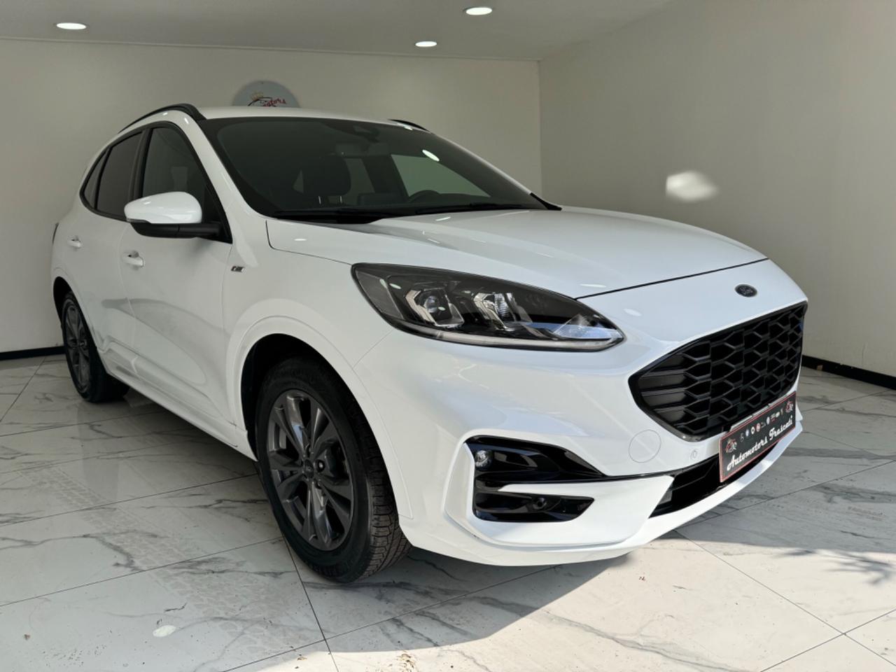 Ford Kuga 1.5 EcoBlue 120 CV-ST LINE-AUTOMATICA